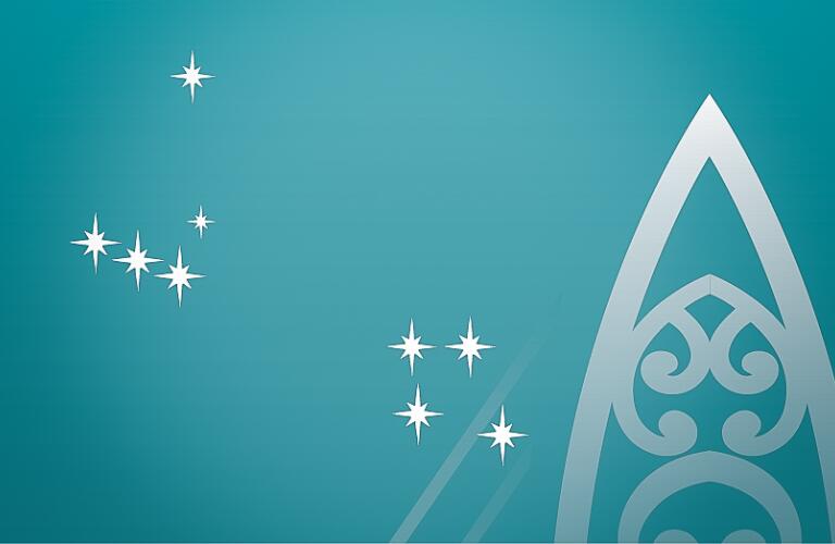 Te Ao Maori Strategy for Parlimentary Agencies Header 03 v2